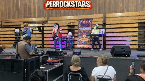 rock para chavitos