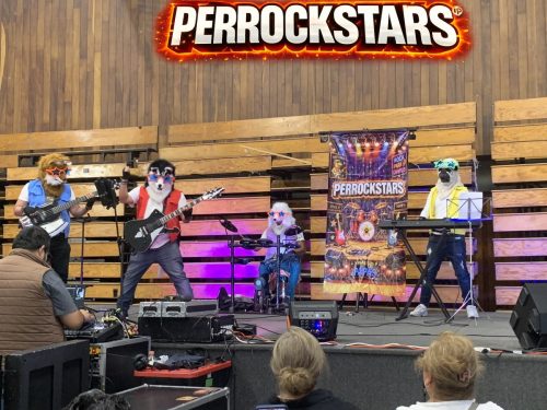 grupo de rock para chavitos